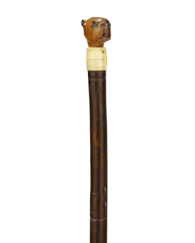 Boxer Dog Cane