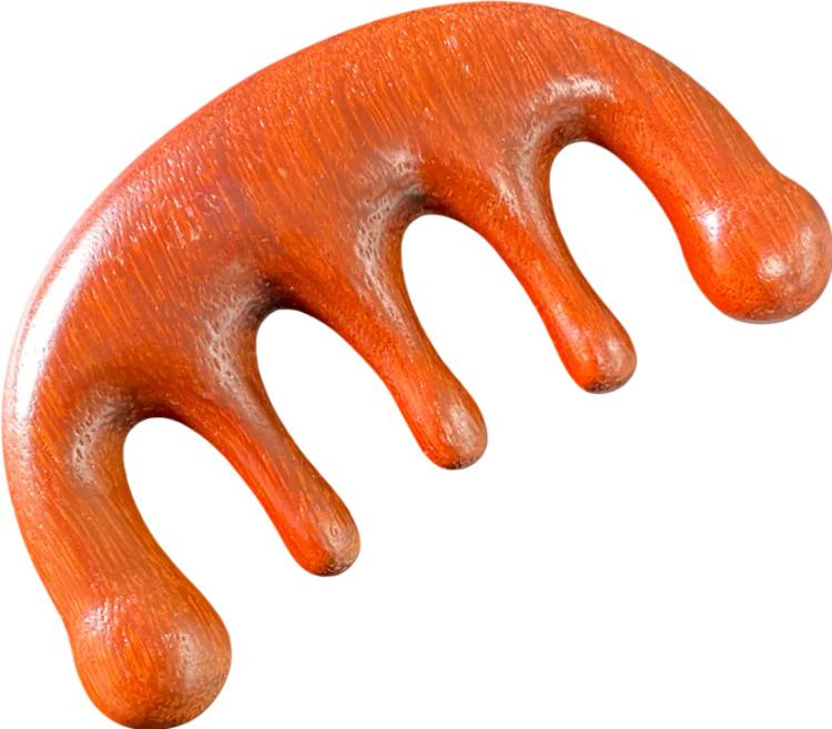 Brown Wooden Massage Comb One Size