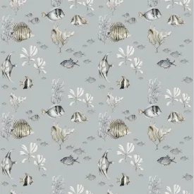Colorful Fish Wallpaper